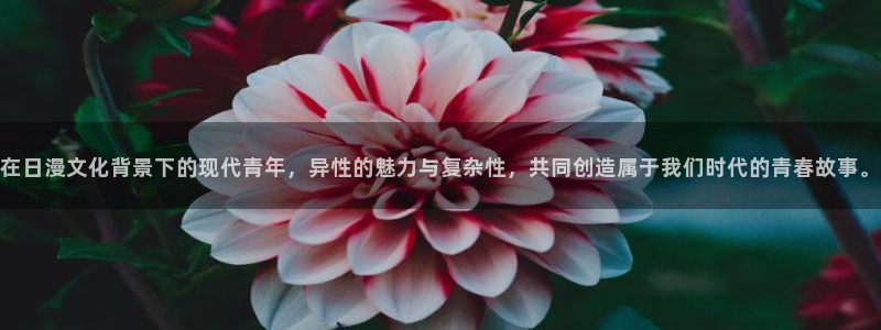 动漫之家3.0版本：在日漫文化背景下的现代青年，异性的魅力与复杂性，共同创造属于我们时代的青春故事。