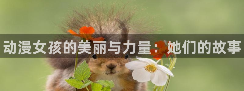 动漫之家动漫：动漫女孩的美丽与力量：她们的故事