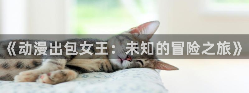 动漫之家ios怎么下载：《动漫出包女王：未知的冒险之旅》