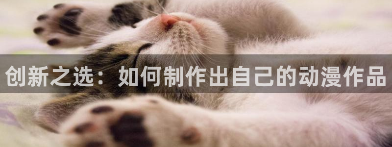 动漫之家漫画网入口：创新之选：如何制作出自己的动漫作品