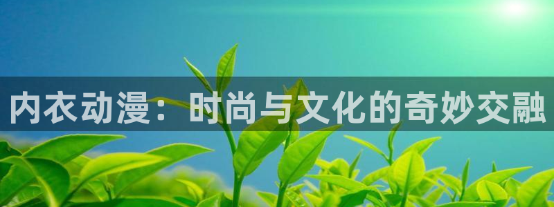 动漫之家安装包：内衣动漫：时尚与文化的奇妙交融